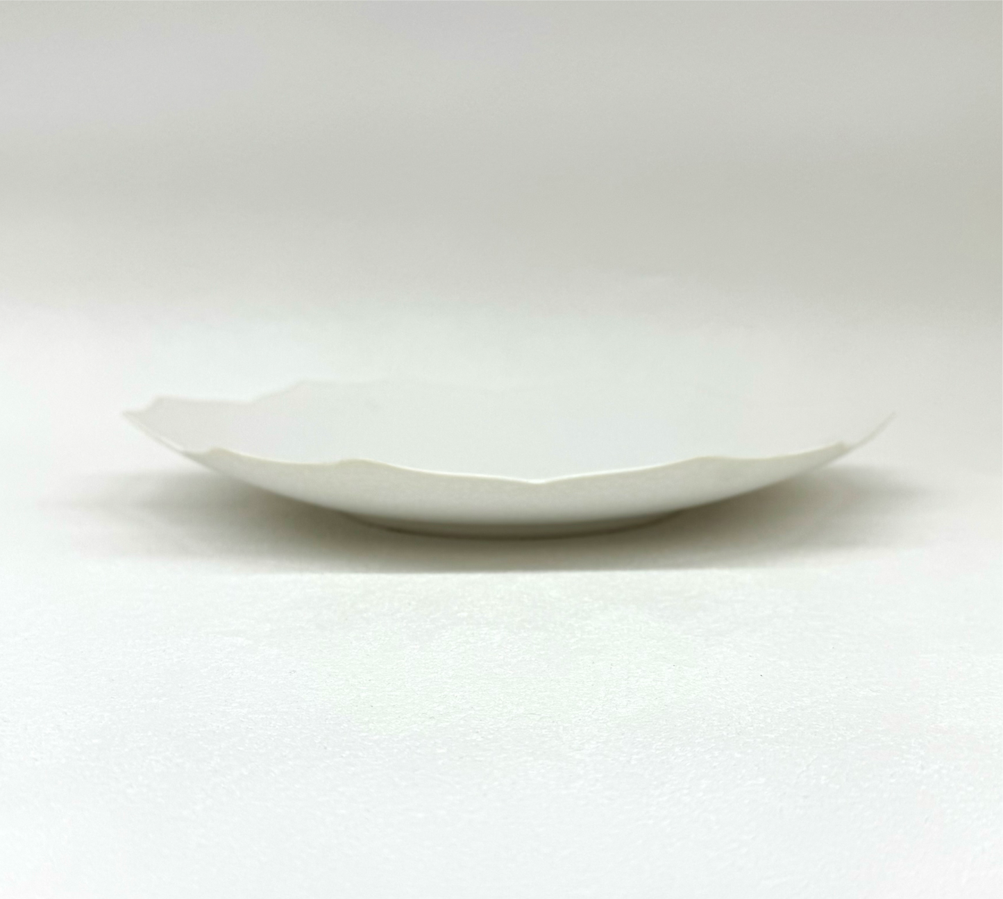 YURI DISH くも